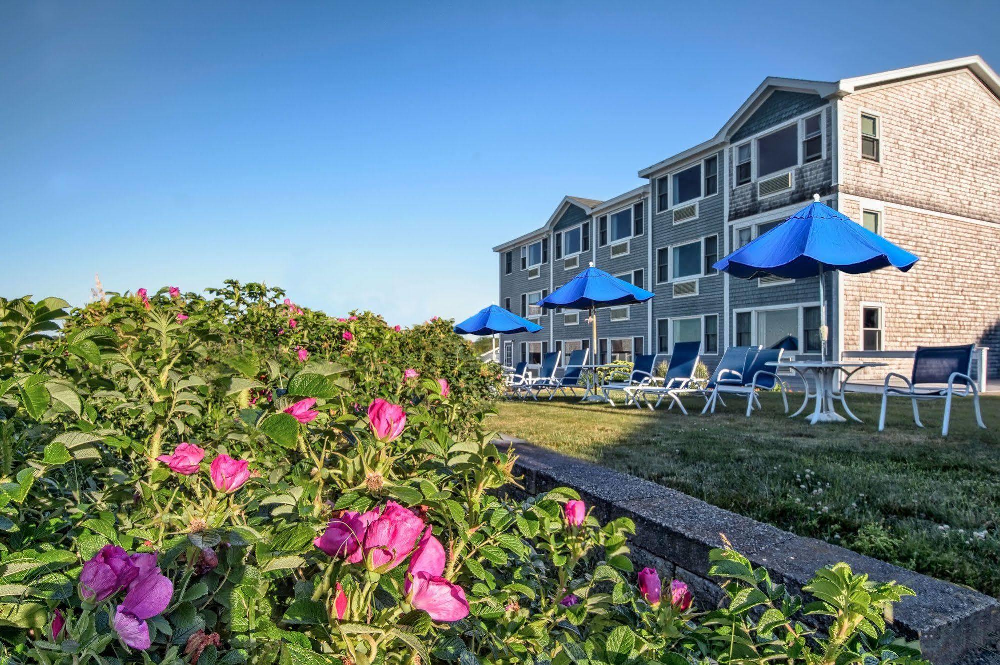 Cutty Sark Motel 约克 外观 照片